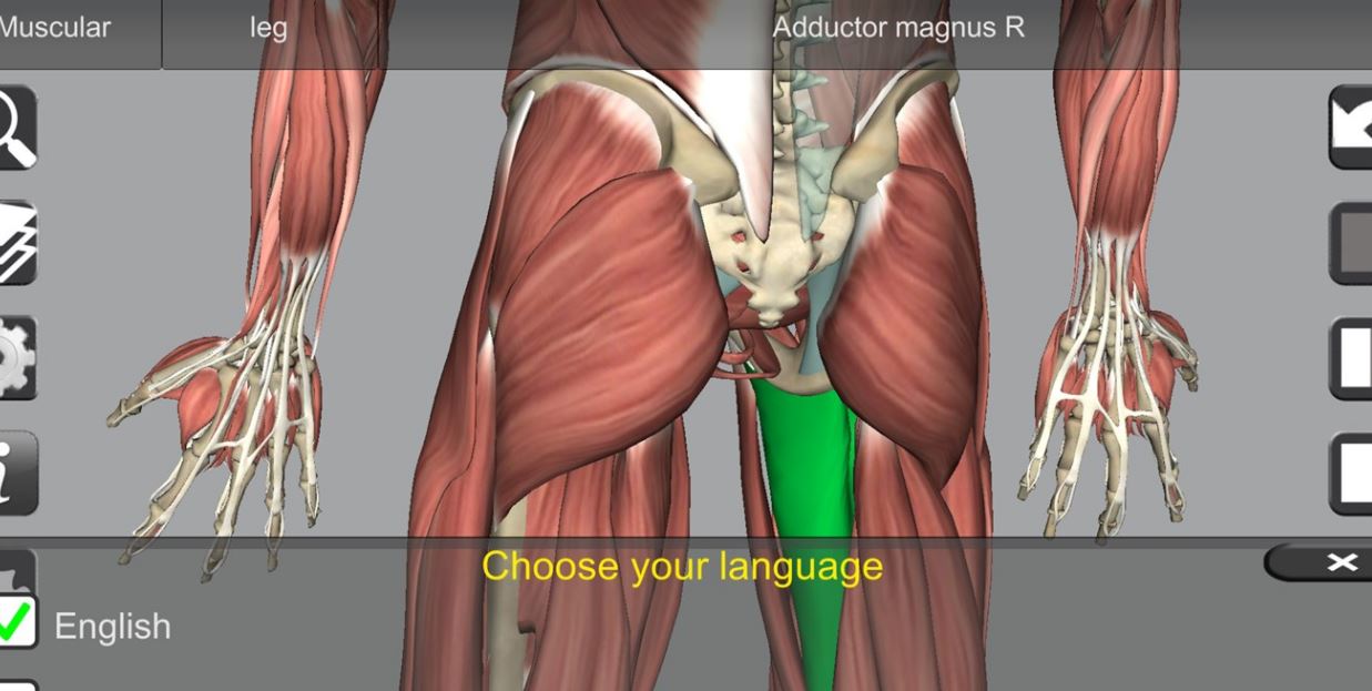 11 Best Anatomy Software for PC Apps Like These. Best Apps for Android, iOS, and Windows PC