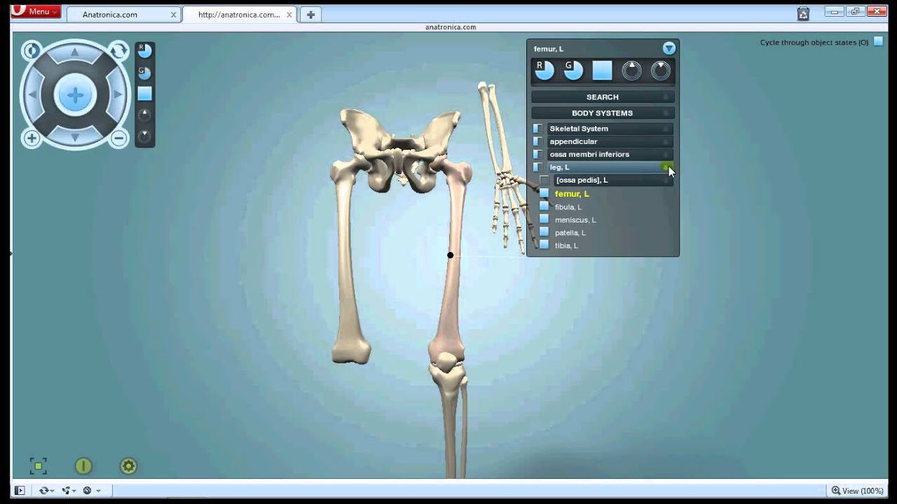 11 Best Anatomy Software for PC Apps Like These. Best Apps for Android, iOS, and Windows PC