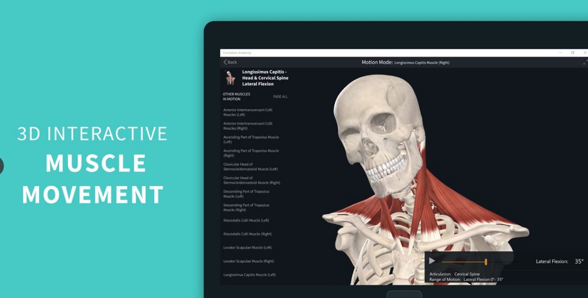 11 Best Anatomy Software for PC Apps Like These. Best Apps for Android, iOS, and Windows PC