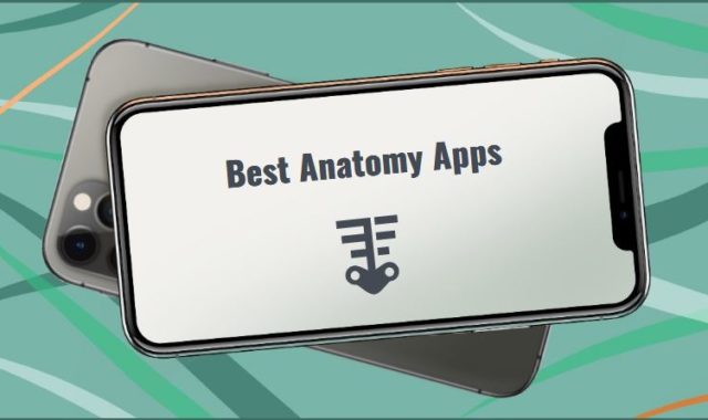 11 Best Anatomy Apps for Android & iOS