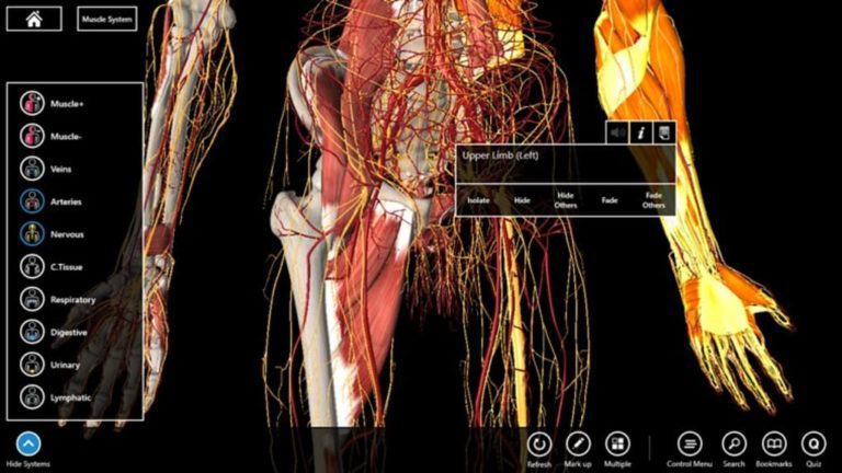 anatomy software for pc download anatomy software for pc download