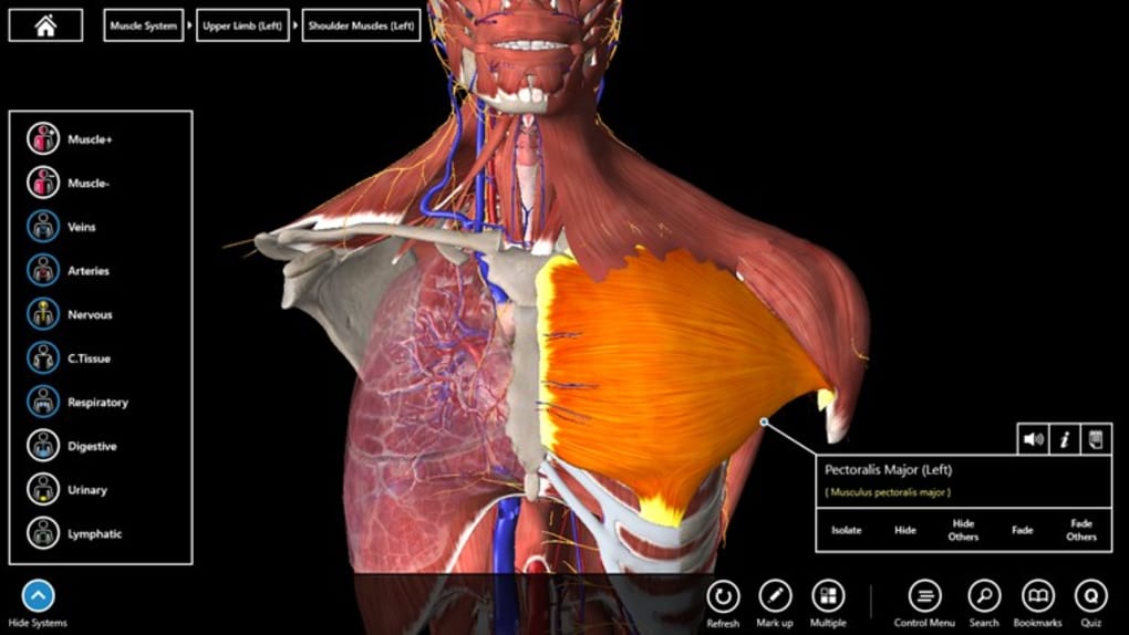 essentialanatomy2