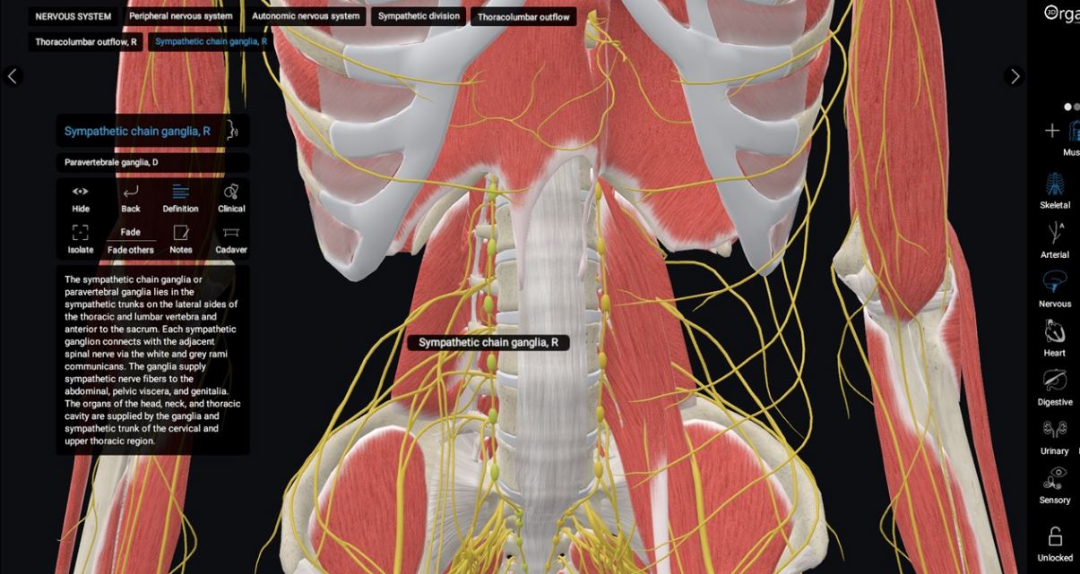 11 Best Anatomy Software for PC Apps Like These. Best Apps for Android, iOS, and Windows PC