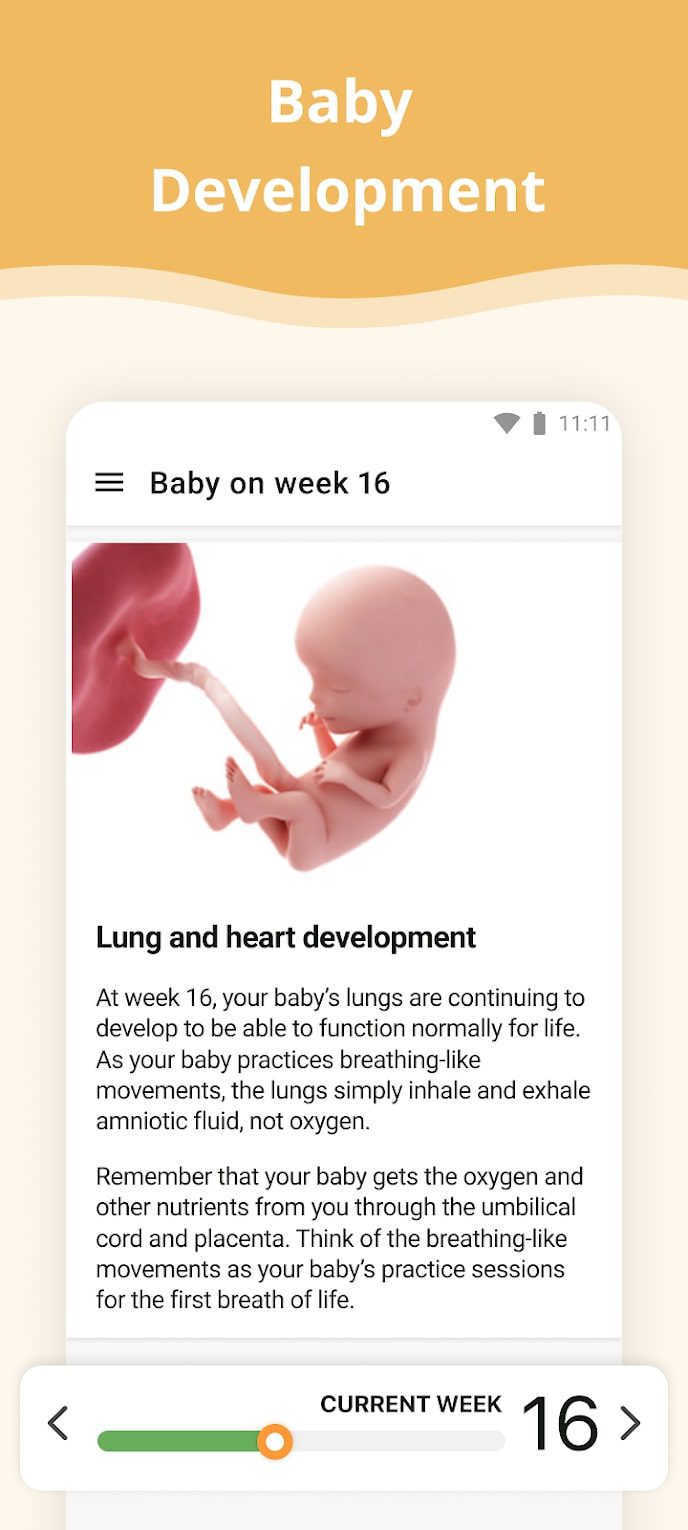 Pregnancy Week By Week screen 1