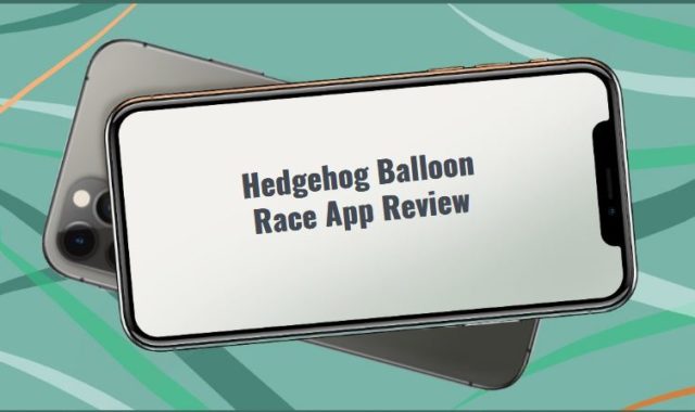 Hedgehog Balloon Race App Review