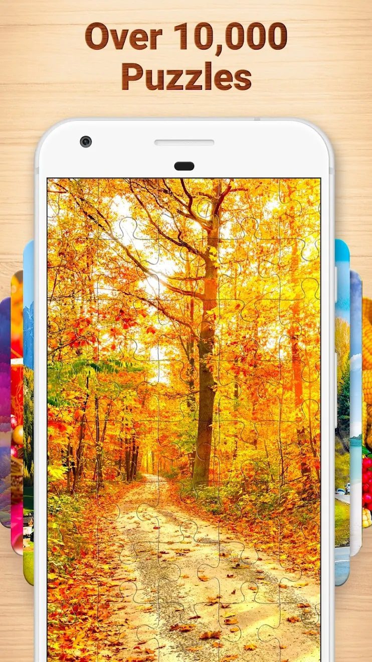 Jigsaw Puzzles screen 2