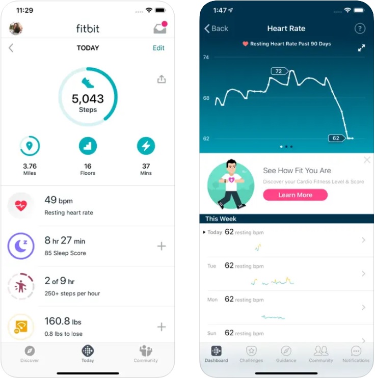 fitbit1