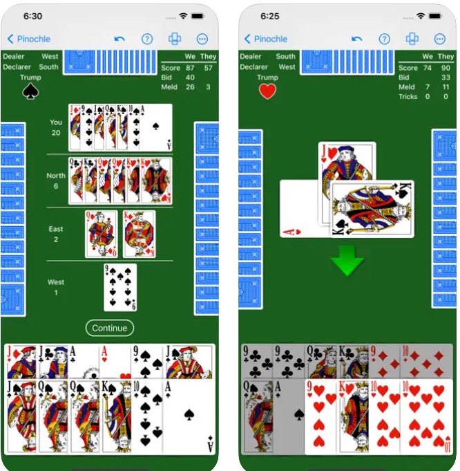 Pinochle - Expert AI1