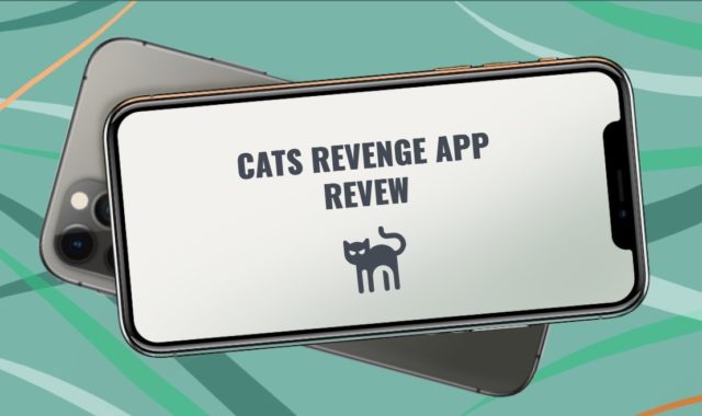 Cats Revenge App Review