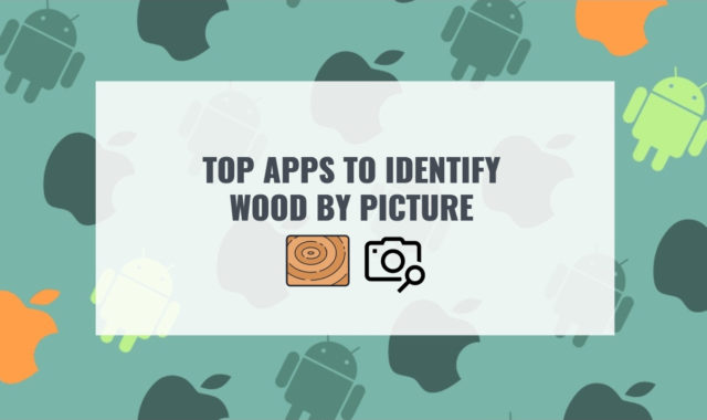 Top 7 Apps to Identify Wood by Picture